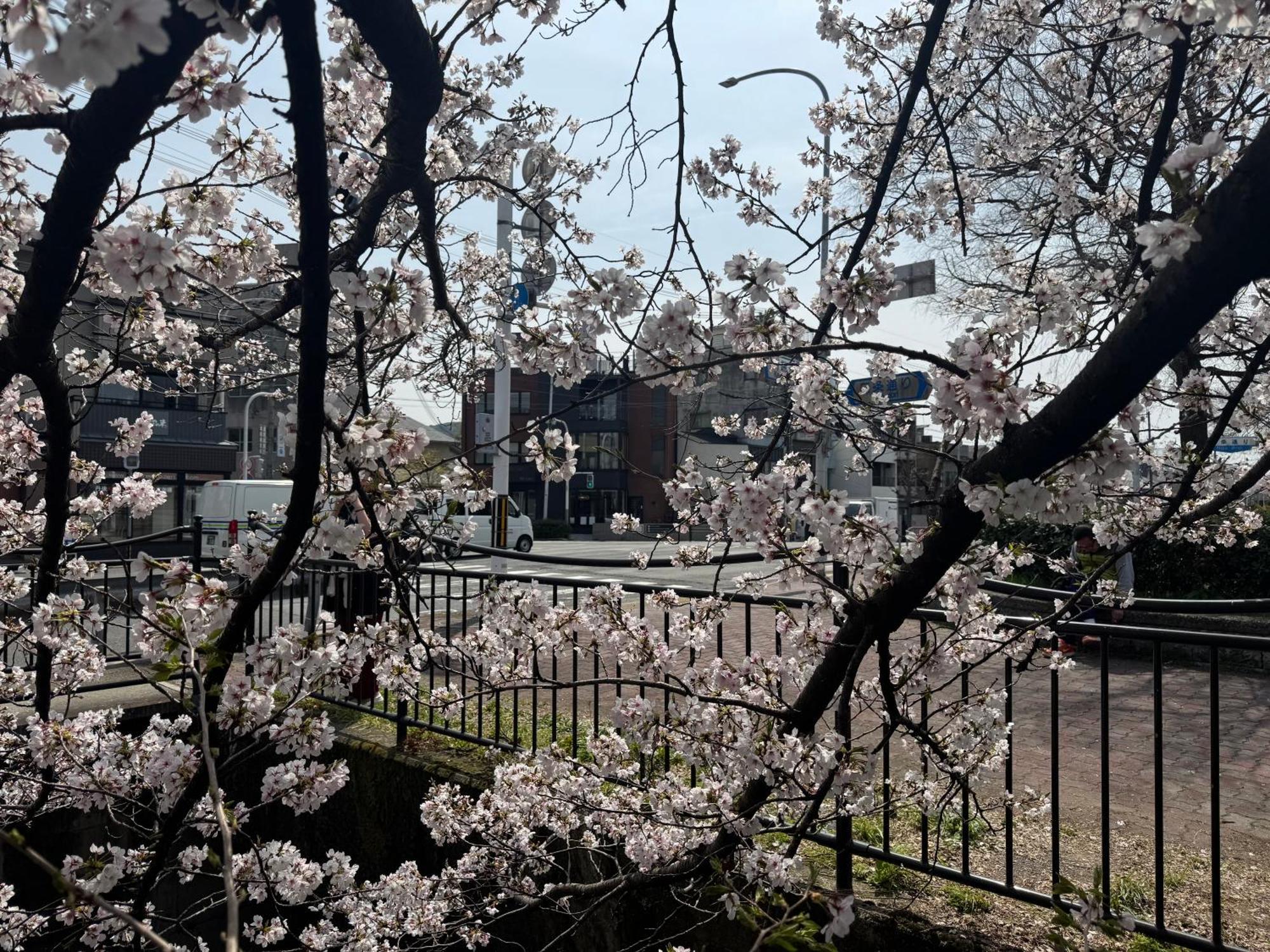 Mont-モン-Kamogawa Stay And Hotel Kyoto Eksteriør billede